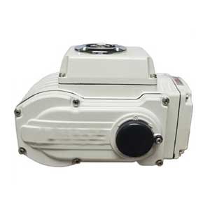 10型-16型電動執行器